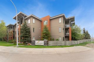 Main Photo: 230 2727 28 Avenue SE in Calgary: Dover Apartment for sale : MLS®# A2051190