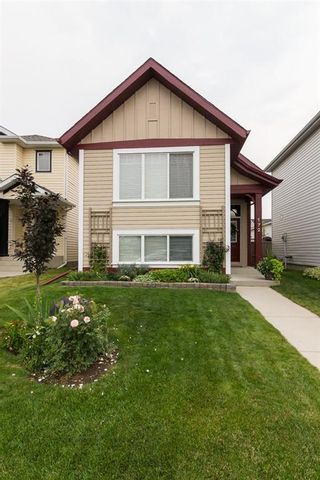 Photo 2: 172 COPPERFIELD Rise SE in Calgary: Copperfield Detached for sale : MLS®# C4201134