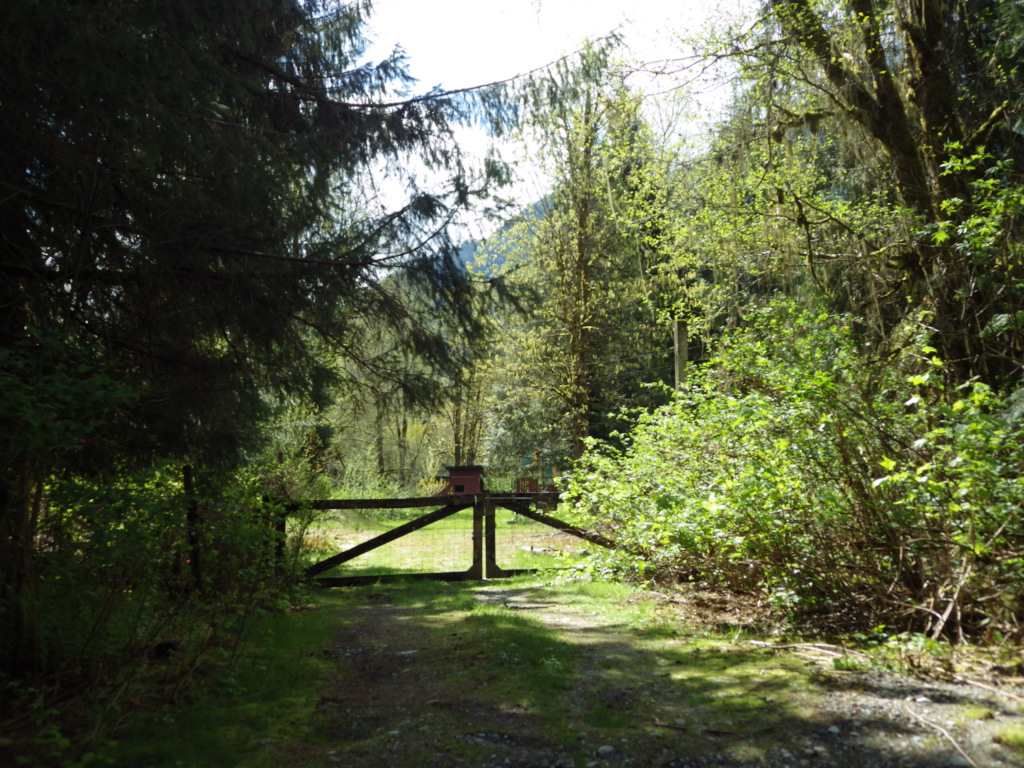 Main Photo: 146 DOGHAVEN LANE in Squamish: Upper Squamish Land for sale : MLS®# R2186038