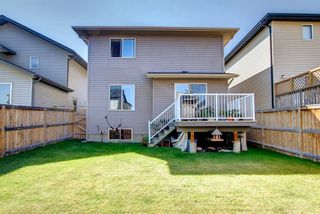 Photo 46: 153 Panamount Heath NW in Calgary: Panorama Hills Detached for sale : MLS®# A1251508