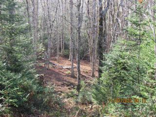 Photo 18: Cedar Street in Maitland: 105-East Hants/Colchester West Vacant Land for sale (Halifax-Dartmouth)  : MLS®# 202225538