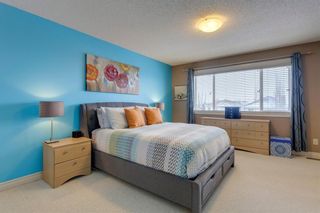 Photo 17: 11874 COVENTRY HILLS Way NE in Calgary: Coventry Hills Detached for sale : MLS®# C4288249