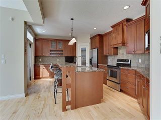 Photo 17: 72 DISCOVERY RIDGE Circle SW in Calgary: Discovery Ridge House for sale : MLS®# C4003350