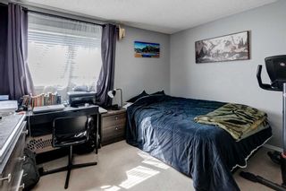 Photo 17: 270 Mckenzie Towne Link SE in Calgary: McKenzie Towne Row/Townhouse for sale : MLS®# A2120921