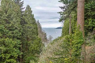 Photo 5: 6170 EASTMONT Drive in West Vancouver: Gleneagles Land for sale in "GLENEAGLES" : MLS®# R2581787