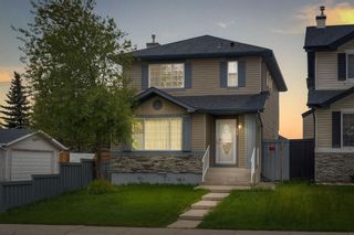 Main Photo: 11 Taravista Street NE in Calgary: Taradale Detached for sale : MLS®# A2133565