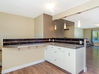 Photo 8: 51 Templewood Mews NE in Calgary: Temple Detached for sale : MLS®# A1039525