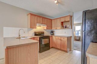 Photo 11: 40 Copperfield Heights SE in Calgary: Copperfield Detached for sale : MLS®# A2101270