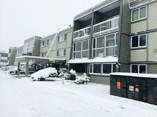 Photo 1: 126 3451 SPRINGFIELD Drive in Richmond: Steveston North Condo for sale in "IMPERIAL BY THE SEA" : MLS®# V1039289