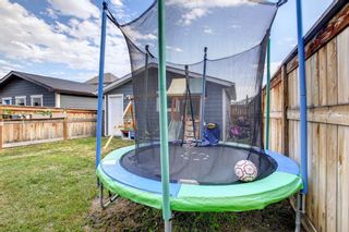 Photo 41: 149 Marquis Common SE in Calgary: Mahogany Detached for sale : MLS®# A1245435