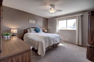 Photo 21: 512 Tanner Drive SE: Airdrie Detached for sale : MLS®# A2046270