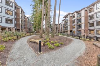 Photo 23: 201 3585 146A Street in Surrey: King George Corridor Condo for sale in "Forest Ridge" (South Surrey White Rock)  : MLS®# R2846818