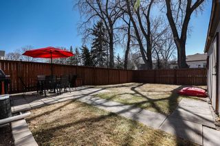 Photo 40: 110 Dorge Drive in Winnipeg: St Norbert Residential for sale (1Q)  : MLS®# 202312058