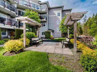 Photo 18: 302 19530 65 Avenue in Surrey: Clayton Condo for sale in "WILLOW GRAND" (Cloverdale)  : MLS®# R2453347