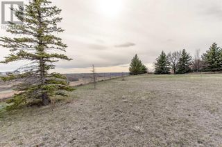Photo 43: 219 Falcon Ridge Way in Rural Lethbridge County: House for sale : MLS®# A2123087