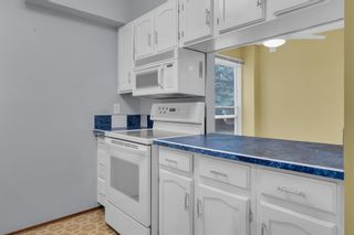 Photo 9: 214 860 Midridge Drive SE in Calgary: Midnapore Apartment for sale : MLS®# A2047108