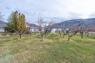 Photo 36: 1970 OSPREY Lane, in Cawston: Agriculture for sale : MLS®# 197727