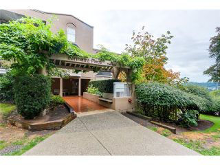 Photo 1: # 316 65 FIRST ST in New Westminster: Downtown NW Condo for sale : MLS®# V1086295