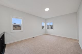 Photo 25: 22 Red Sky Terrace NE in Calgary: Redstone Detached for sale : MLS®# A1255835