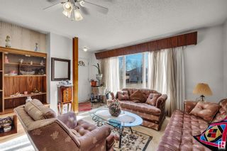 Photo 10: 9928 159 Street in Edmonton: Zone 22 House for sale : MLS®# E4383615