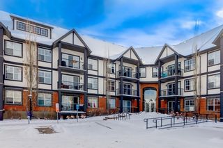 Photo 1: 306 250 New Brighton Villas SE in Calgary: New Brighton Apartment for sale : MLS®# A1185804