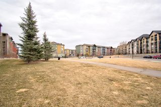 Photo 29: 9413 403 Mackenzie Way SW: Airdrie Apartment for sale : MLS®# A1201272