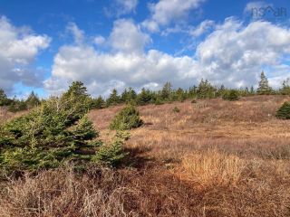 Photo 13: Lot C1 East Jeddore Road in East Jeddore: 35-Halifax County East Vacant Land for sale (Halifax-Dartmouth)  : MLS®# 202214751