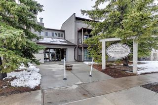 Main Photo: 110 280 Banister Drive: Okotoks Apartment for sale : MLS®# A2128088