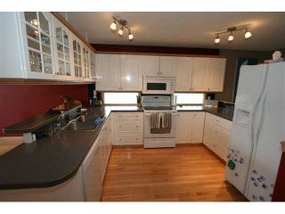 Photo 9: 250 25 Avenue NE in CALGARY: Tuxedo Residential Detached Single Family for sale (Calgary)  : MLS®# C3421200