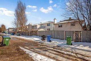 Photo 40: 379 Del Ray Road NE in Calgary: Monterey Park Detached for sale : MLS®# A2120817