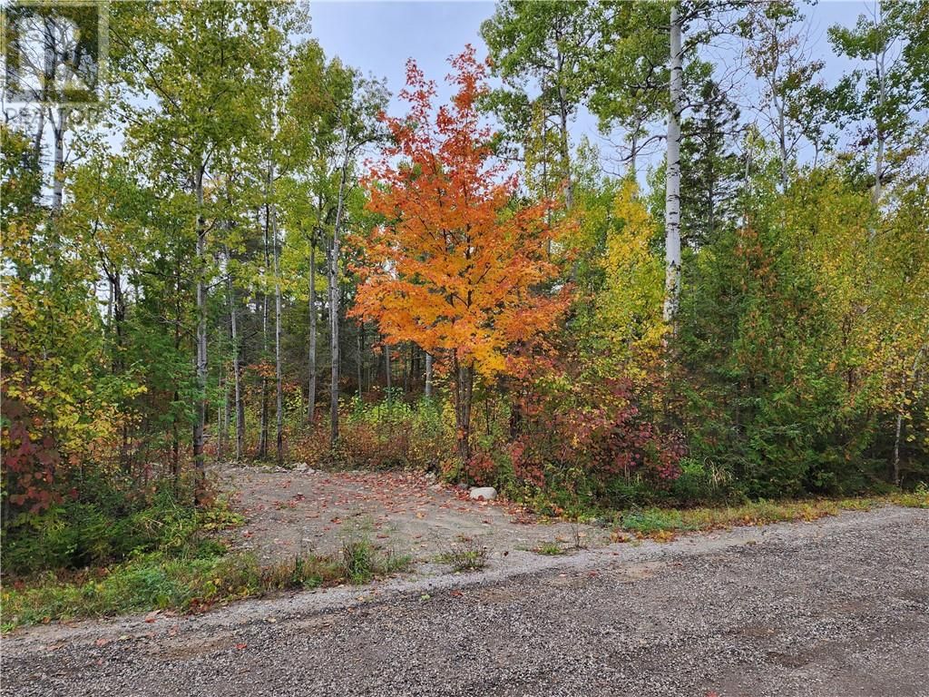 Main Photo: 14 Birch St in Manitowaning: Vacant Land for sale : MLS®# 2113802