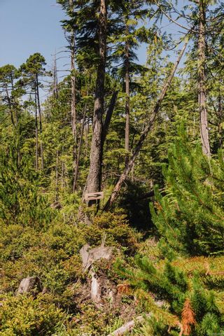 Photo 12: LOT 4 Hawkes Rd in Ucluelet: PA Ucluelet Land for sale (Port Alberni)  : MLS®# 924868