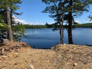 Photo 1: Lot 99A Ramey Road in Buckfield: 406-Queens County Vacant Land for sale (South Shore)  : MLS®# 202214711
