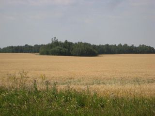 Photo 7: SE 20 30 1 W5 Highway 2A: Carstairs Residential Land for sale : MLS®# A1067588