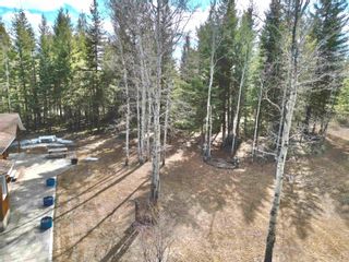 Photo 40: 3338 PIGEON Road: 150 Mile House House for sale (Williams Lake)  : MLS®# R2860980