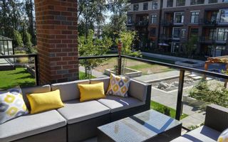 Photo 4: 211 260 SALTER STREET in New Westminster: Queensborough Apartment/Condo for sale : MLS®# R2228704
