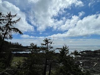 Photo 13: 1501 596 Marine Dr in Ucluelet: PA Ucluelet Condo for sale (Port Alberni)  : MLS®# 899473