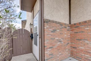 Photo 26: 71 Falchurch Road NE in Calgary: Falconridge Semi Detached (Half Duplex) for sale : MLS®# A2053953