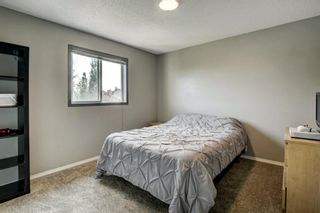 Photo 24: 56 Inverness Boulevard SE in Calgary: McKenzie Towne Detached for sale : MLS®# A1127732