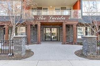 Photo 25: 101 1029 15 Avenue SW in Calgary: Beltline Apartment for sale : MLS®# A2053018