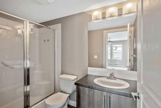 Photo 16: 216 2300 Evanston Square NW in Calgary: Evanston Apartment for sale : MLS®# A2120918
