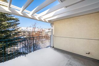 Photo 35: 322 2144 Paliswood Road SW in Calgary: Palliser Apartment for sale : MLS®# A2033601