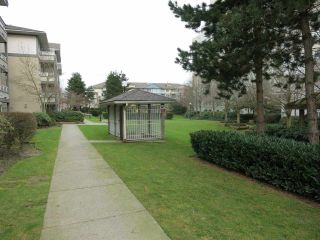 Photo 18: 316 4990 MCGEER Street in Vancouver: Collingwood VE Condo for sale in "CONNAUGHT" (Vancouver East)  : MLS®# R2141317