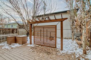 Photo 48: 3925 15A Street SW in Calgary: Altadore Detached for sale : MLS®# A2019413