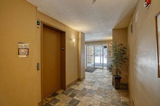 Photo 24: 2413 92 Crystal Shores Road: Okotoks Apartment for sale : MLS®# A1199617