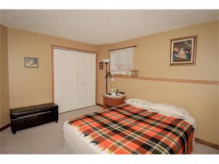 Photo 38: 140 TUSCARORA Circle NW in Calgary: Tuscany House for sale : MLS®# C4058828