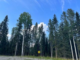 Photo 1: Lot 4 (116) 32529 Range Road 52: Rural Mountain View County Residential Land for sale : MLS®# A2098392