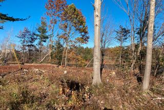 Photo 4: Lot Highway 311 in Tatamagouche: 103-Malagash, Wentworth Vacant Land for sale (Northern Region)  : MLS®# 202323312