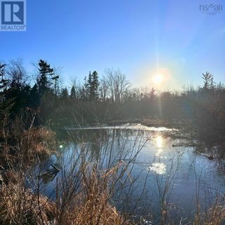 Photo 2: 18474 Highway 103 in Middlewood: Vacant Land for sale : MLS®# 202401030