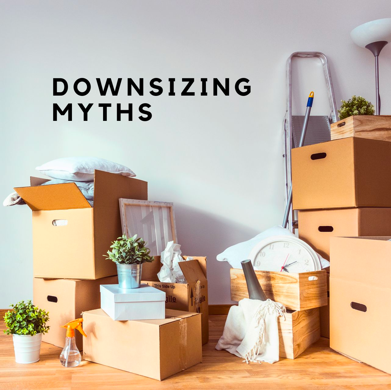 Downsizing Myths!